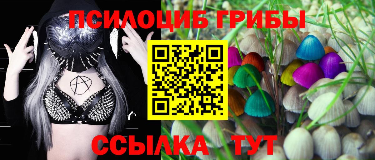 Горно-Алтайск  Галлюциногенные грибы Cubensis  продажа наркотиков  Псилоцибиновые грибы Psilocybe  Вход с VPN 